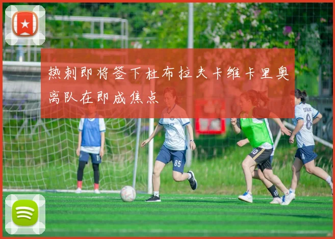 热刺即将签下杜布拉夫卡维卡里奥离队在即成焦点