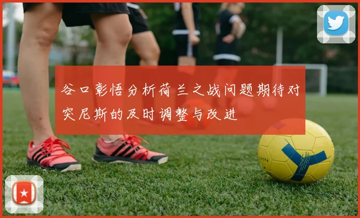 谷口彰悟分析荷兰之战问题期待对突尼斯的及时调整与改进
