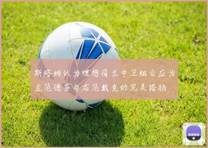 斯塔姆认为理想荷兰中卫组合应为左范德芬与右范戴克的完美搭档