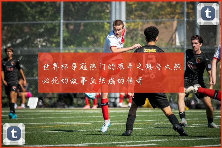 世界杯争冠热门的艰辛之路与大热必死的故事交织成的传奇
