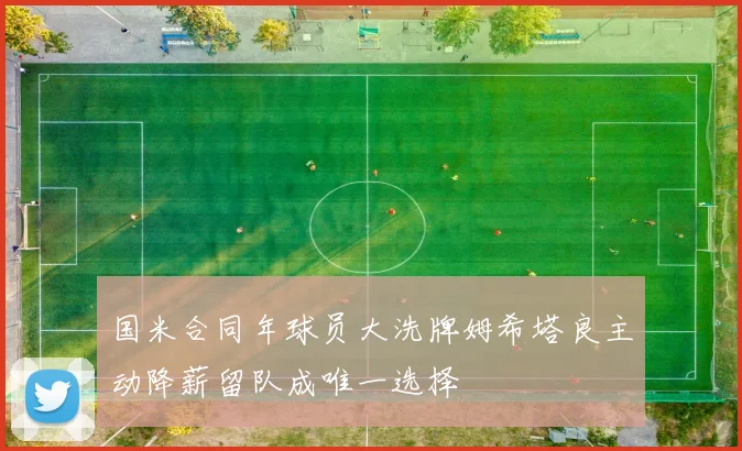 国米合同年球员大洗牌姆希塔良主动降薪留队成唯一选择